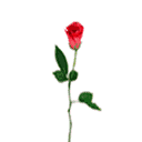 I love